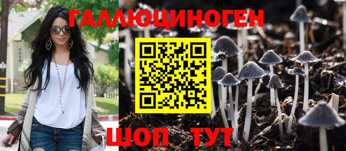 Галлюциногенные грибы Psilocybe Холмск