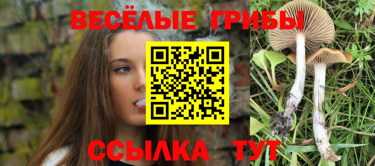 Галлюциногенные грибы Psilocybe  Вход с VPN  Холмск 